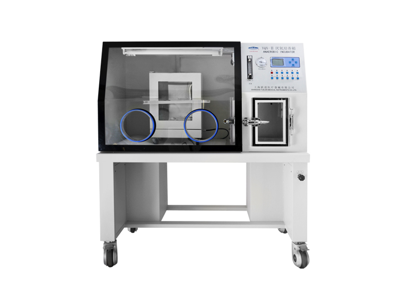 医用厌氧培养箱YQX